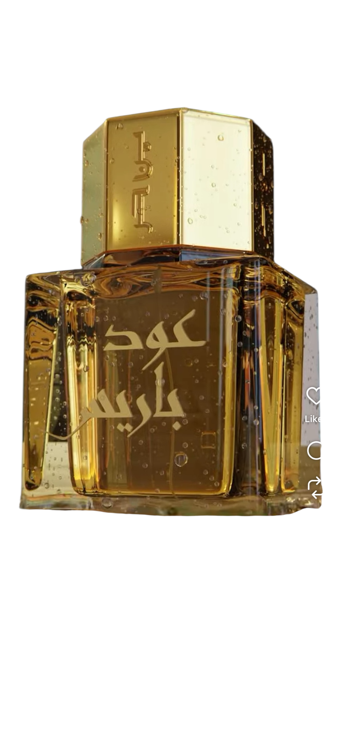 عود باريس
